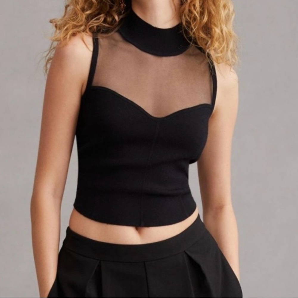 Anthropologie Black Sheer Panel Crop Top